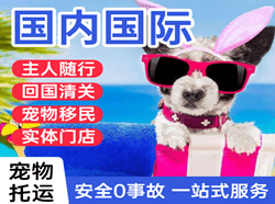 秦皇岛北戴河机场物流国际宠物托运 【国